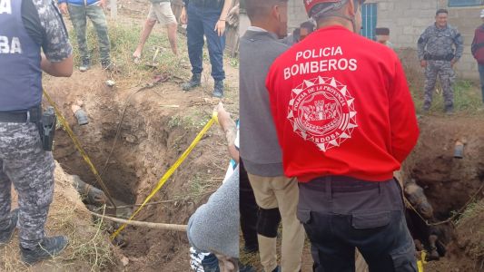 Rescate en barrio Los Filtros: salvaron a un caballo que cayó en un pozo ciego