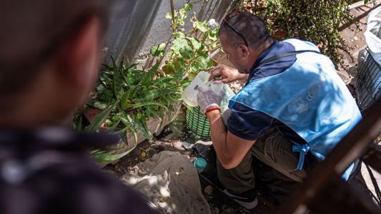 Córdoba suma tres nuevos casos de chikungunya y refuerzan los operativos de prevención
