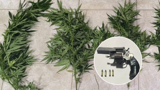 Amplio operativo en Río Cuarto: 29 detenidos y secuestro de armas, vehículos y objetos robados