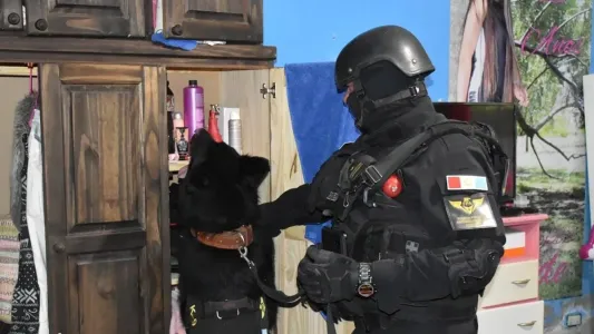 Banda narcocriminal: nueve detenidos por venta y distribución de drogas en Córdoba y Río Cuarto