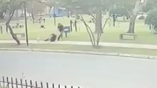 Brutal asalto en una plaza: atacó a una mujer por la espalda para robarle el celular
