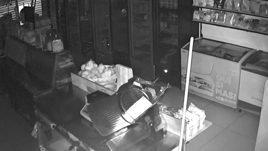 Un ladrón forzó un candado y robó en una fiambrería en tiempo récord