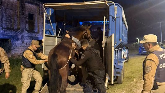 Operativos rurales: detenciones por caza ilegal y rescate de animales en mal estado