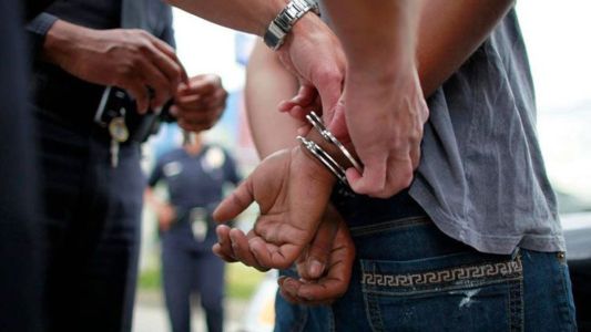 Desarticulan una banda que robaba ganado y herramientas en zonas rurales