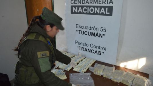 Gendarmes secuestran casi 160 millones de pesos ocultos en un colectivo