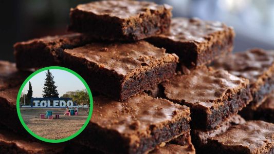 Escándalo en Toledo: seis alumnos se intoxicaron tras comer brownies con marihuana