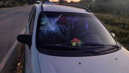 Un conductor salió ileso tras chocar contra un caballo en la Ruta Provincial 16