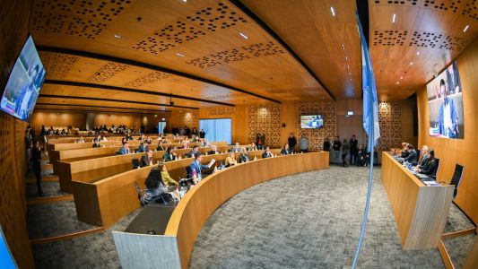 El Concejo Deliberante debatirá este jueves la regulación de los “naranjitas” en la ciudad