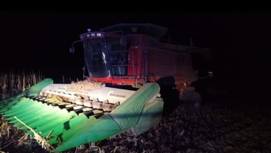 Investigan la muerte de un trabajador rural durante una cosecha en Alto Alegre