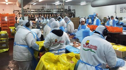 Crisis avícola: Granja Tres Arroyos cerró una planta y hay 950 empleos en riesgo