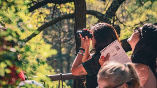 El Parque de la Biodiversidad celebrará el Día de las Aves Migratorias con una visita guiada y charlas educativas