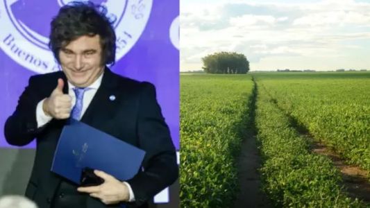 Milei anunció una reducción de retenciones para el agro y sectores industriales