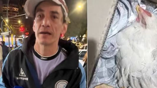 Polémica en los festejos de Belgrano: jugadores colgaron una gallina con la camiseta de Talleres