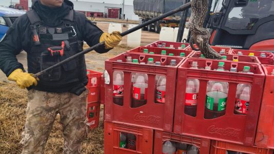 Rescataron una lampalagua hallada en una empresa sobre la Ruta 19