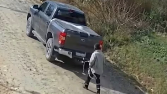 “Esto le hago a las ratas”: buscó al ladrón, lo ató a su camioneta y lo arrastró