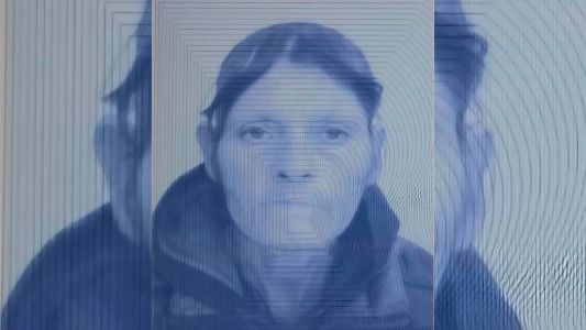 Activan la búsqueda de una mujer de 50 años desaparecida en Villa del Prado