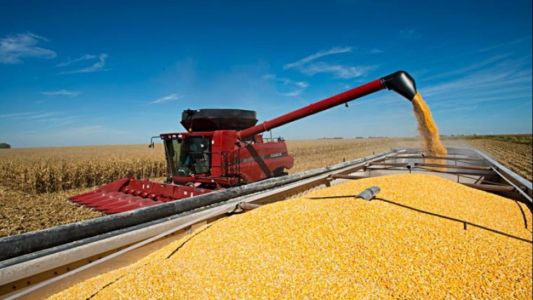 El Gobierno oficializó la reducción gradual de retenciones para el sector agropecuario