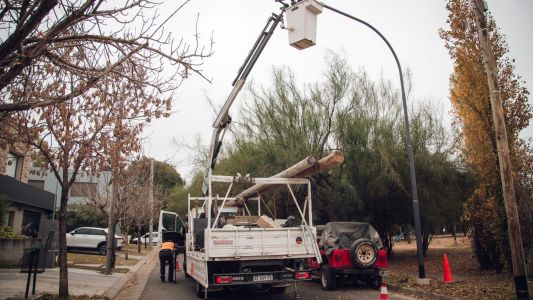 Megaplan de alumbrado: ya realizaron más de 8 mil intervenciones en Córdoba