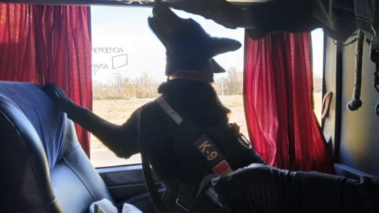 Secuestraron drogas en un operativo de control de hinchadas en el estadio Kempes