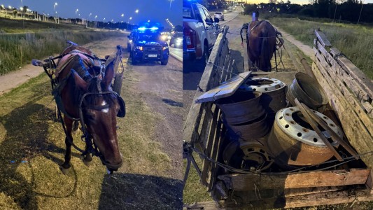 B°Palmar: recuperan llantas robadas de una gomería y detienen a un adolescente