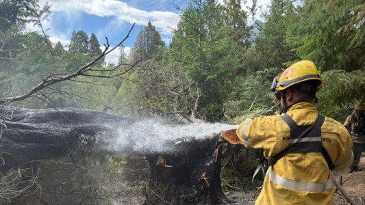Brigadistas cordobeses refuerzan perímetros y continúan el combate de incendios forestales en Chubut