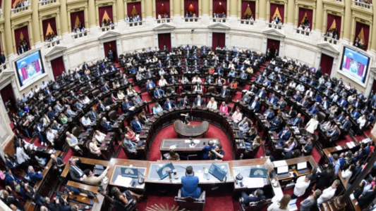 El Gobierno logró media sanción a la Ley Penal Juvenil en la Cámara de Diputados
