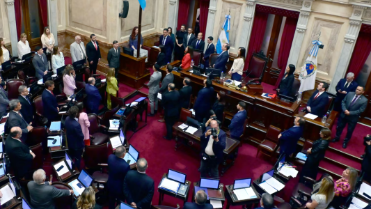 El Senado aprobó el acuerdo comercial entre el Mercosur con la Unión Europea