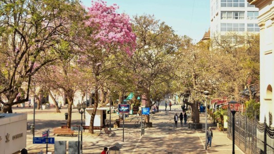 Clima en Córdoba hoy: pronóstico del tiempo para este viernes 12 de diciembre