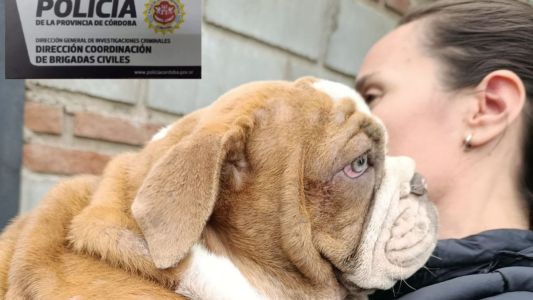 Operativo masivo en Córdoba: incautan un arsenal y rescatan perros de un criadero ilegal