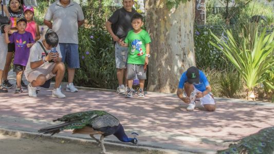 El Parque de la Biodiversidad celebra la Semana de la Vida Silvestre con actividades gratuitas