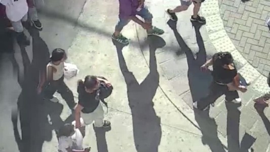 Detuvieron a una mujer por intento de robo en pleno centro de Córdoba