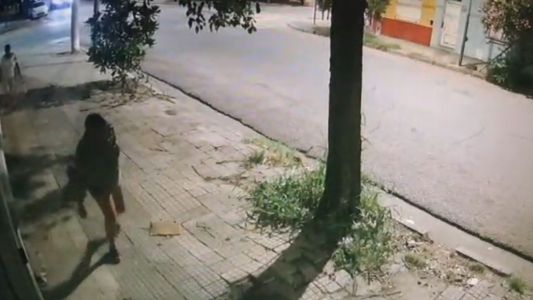 El Colegio Veterinario de Córdoba es querellante en una causa por maltrato animal