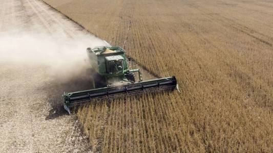 El Gobierno anunció una baja generalizada de retenciones para el campo