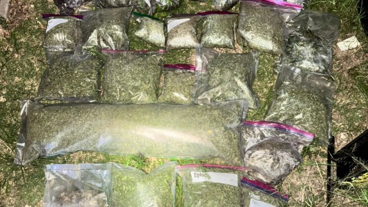Secuestraron 69 plantas de cannabis tras un operativo conjunto entre la Policía y la FPA