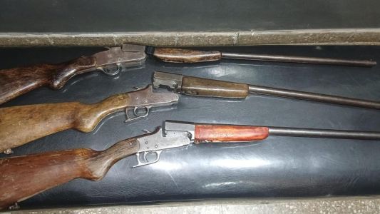 Intensifican controles contra la caza furtiva: 18 detenidos, armas secuestradas y perros rescatados