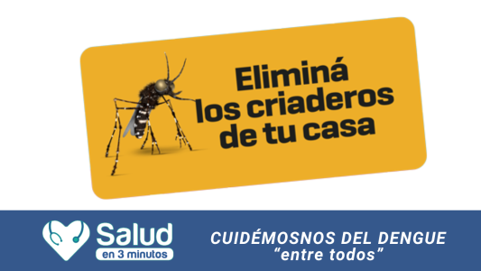 Alerta Dengue: La prevención y la vacunación, claves para reducir el impacto de la enfermedad