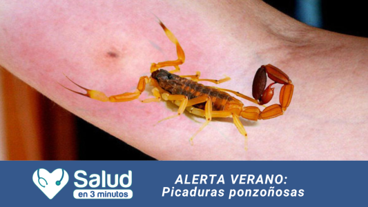 Picaduras de animales ponzoñosos