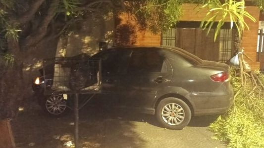 Impactante choque en Córdoba: derribó un árbol, un poste y dañó dos casas