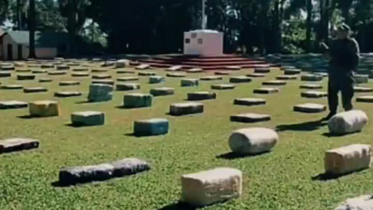 Incautaron 9.800 kilos de marihuana en Misiones en un operativo con Brasil