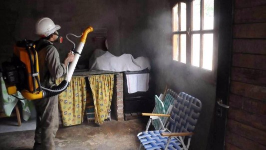 Cuidado con las desinfecciones domiciliarias