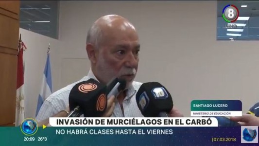 Invasión de murciélagos en el Carbó: No habrá clases hasta el viernes