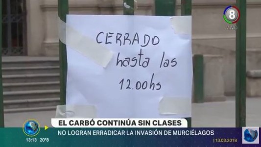 El colegio Carbó, continúa sin clases por la presencia de murciélagos