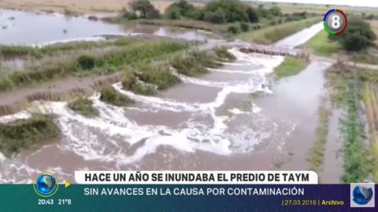 Informe especial: A un año del derrame de Taym, no hay avances en la causa