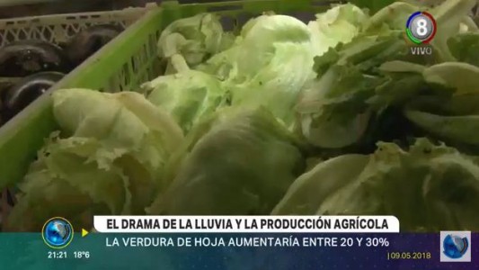 Consecuencias de la lluvia: La verdura de hoja aumentará entre un 20 y 30 por ciento