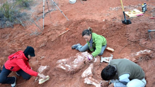 Hallaron en San Juan al dinosaurio gigante más antiguo que habitó la Tierra