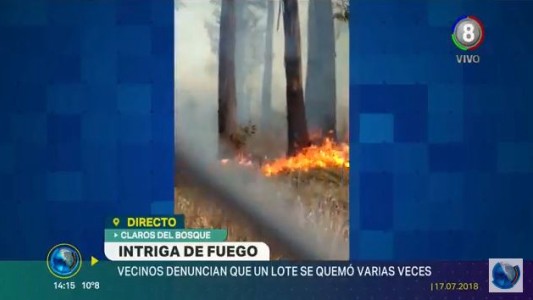 Fuego e incertidumbre en Claros del Bosque