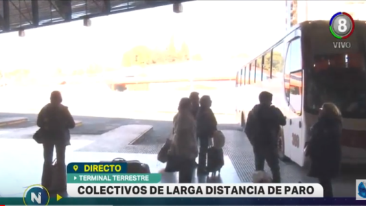 Terminal de ómnibus: Paro de tres empresas de larga distancia