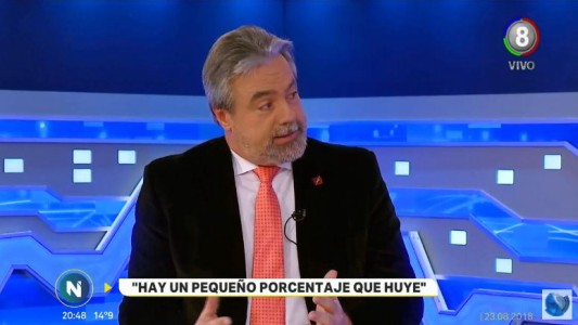 "Atropellar y huir tiene una pena de 3 a 6 años de prisión"