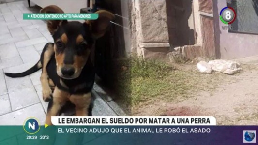 Le embargarán el sueldo por matar a una perra
