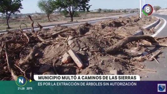 Multaron a Caminos de las Sierras por la quita de árboles